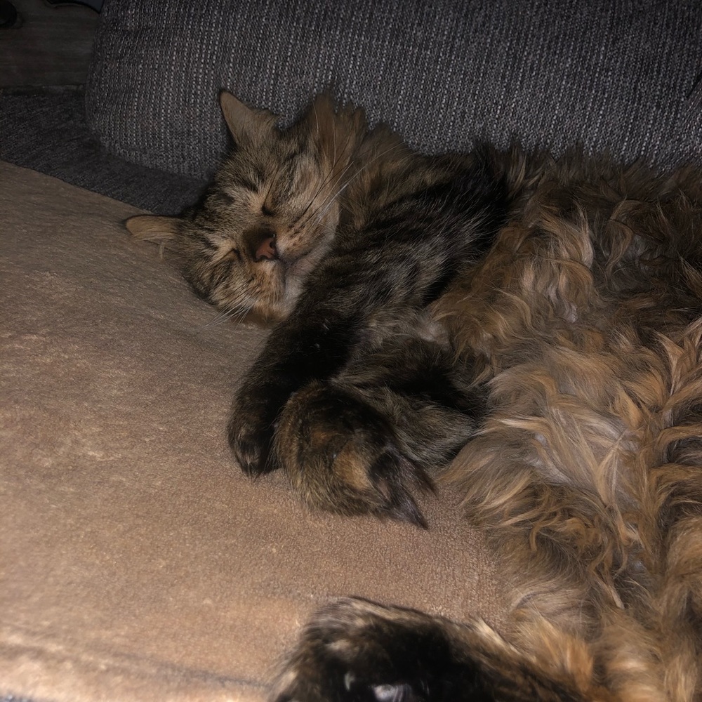 Meet your Posher, Tanya